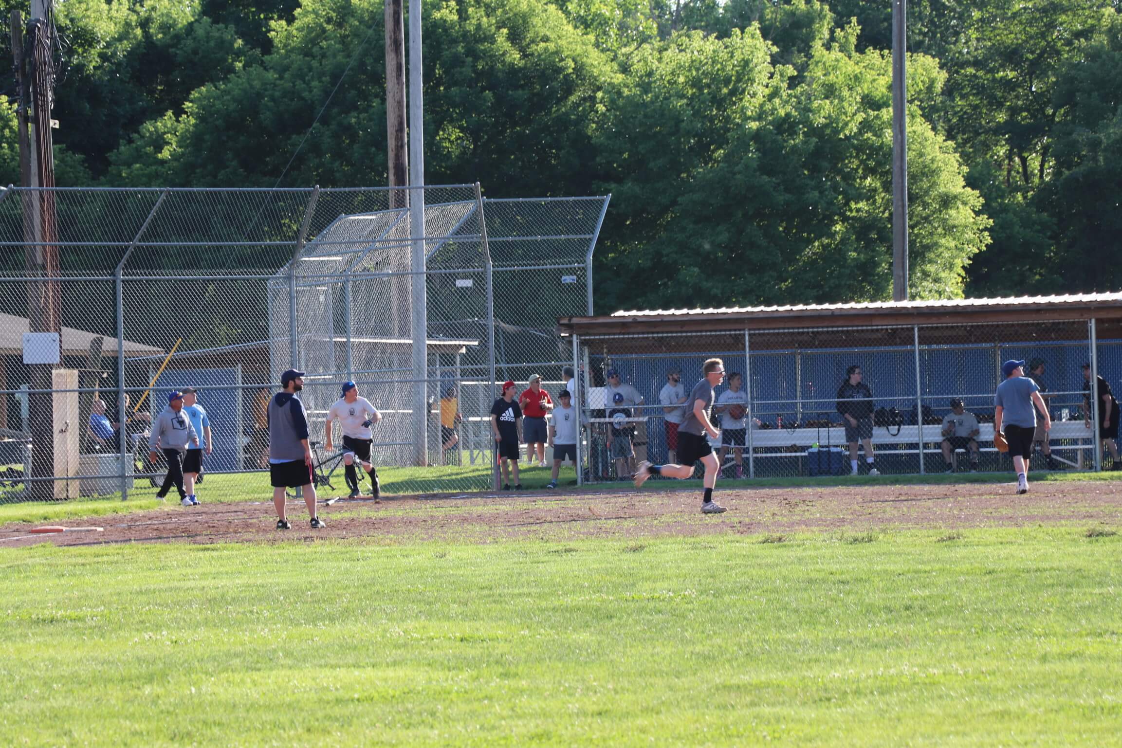 Adult Softball League